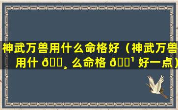 神武万兽用什么命格好（神武万兽用什 🌸 么命格 🌹 好一点）